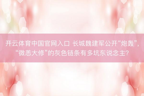 开云体育中国官网入口 长城魏建军公开“炮轰”,“微恙大修”的灰色