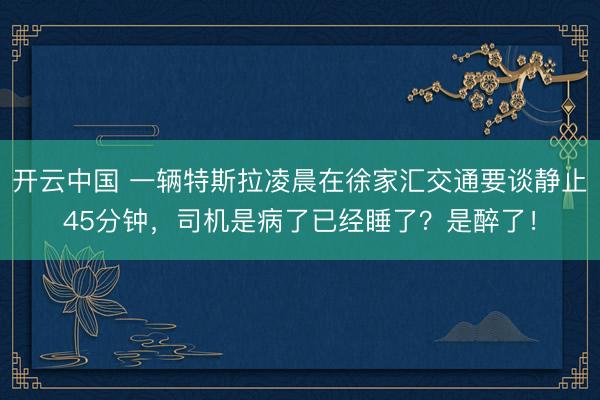 开云中国 一辆特斯拉凌晨在徐家汇交通要谈静止45分钟，司机是病了已经睡了？是醉了！